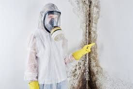 Why You Should Choose Our Mold Remediation Services in Whitewater, KS